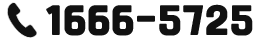 전화 문의 1666-5725